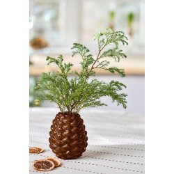 Vase kogle
